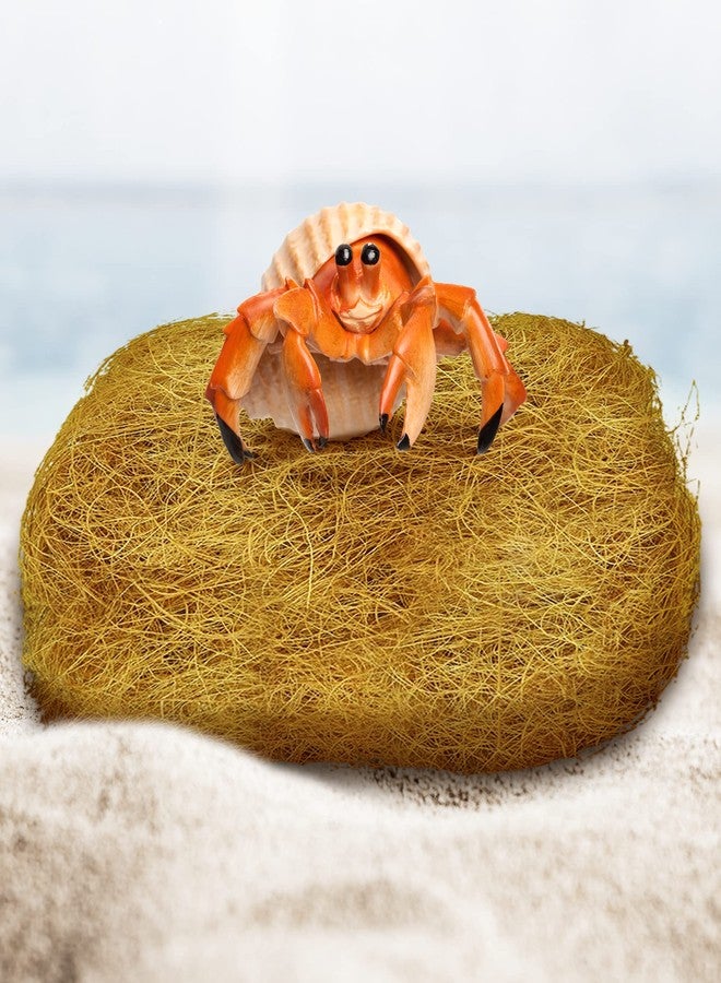 صن جرو ألياف قشر جوز الهند من صن جرو لفرش كهوف الزواحف - Image 3